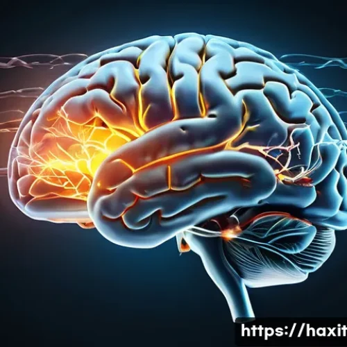 습관 형성과 관련된 뇌의 작용 이해하기 - A detailed scientific illustration of the human brain highlighting the basal ganglia, prefrontal cor...