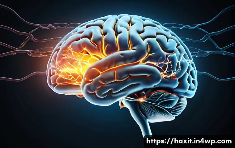 습관 형성과 관련된 뇌의 작용 이해하기 - A detailed scientific illustration of the human brain highlighting the basal ganglia, prefrontal cor...
